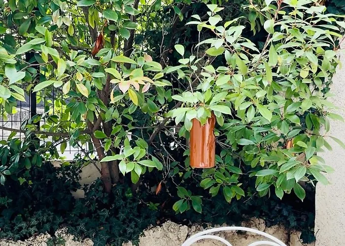 Willa Lucie, 4 A 8 Personnes *